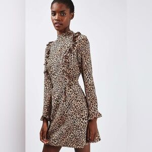 Leopard Print Long Sleeve Mini Dress with Ruffles
